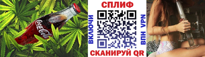 Купить где  Карачаевск  Cannafood конопля 