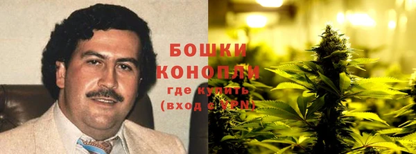 СК Вяземский