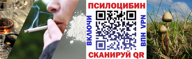 Купить  Карачаевск  Псилоцибиновые грибы прущие грибы 